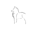 chipdawg