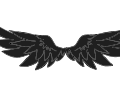 Black Wings