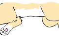 Running cycle