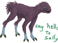 Sally says hi
