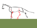 Rekala walk cycle WIP