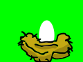 egg in a nest