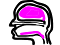 inside head