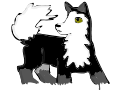 A Good Wolf!!!