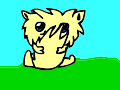 Cat Cute