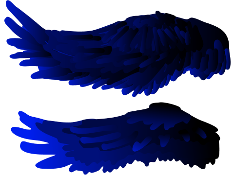 wing concept