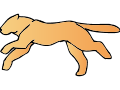Some sort of big cat running