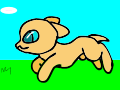 Running Rabbit