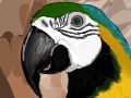 Parrot