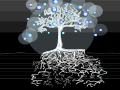The Maywe Tree ( the tree of ice)
