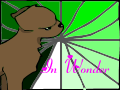 In wonder