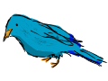 Bird <10 coins>