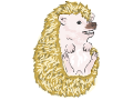 Bryana the hedgehog!