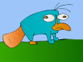 perry