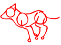 Wolf Run Animation Test 2