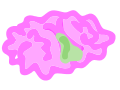 brainfarts.