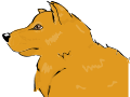 My Dog Chase
