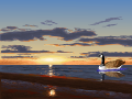 goose swiming