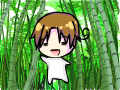 Italy in the Jungle
