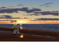 MGS The beach escape