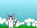 Dancin Dogeh and appahled kiteh