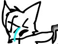 dead cat