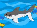 Shy Shark Swims